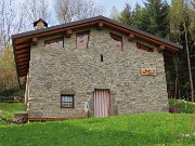In Canto Alto (1146 m) da Ripa-Zogno ad anello fiorito il 10 aprile 2025 - FOTOGALLERY